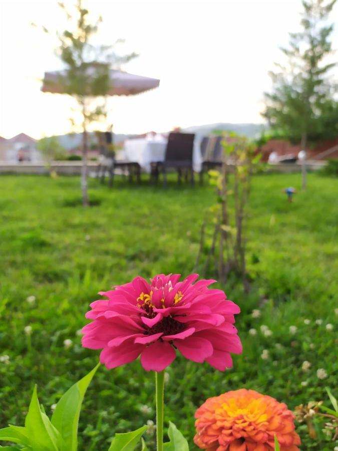 Bliss Inn Boutique Hotel Gabala Eksteriør billede